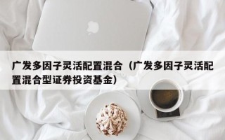 广发多因子灵活配置混合（广发多因子灵活配置混合型证券投资基金）