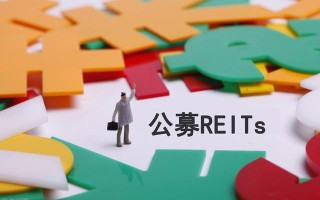 reits基金发行价(reits基金有哪些要发行)