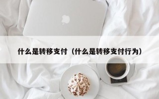 什么是转移支付（什么是转移支付行为）