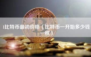 1比特币最初价格（比特币一开始多少钱一枚）