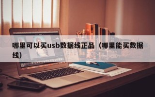 哪里可以买usb数据线正品（哪里能买数据线）