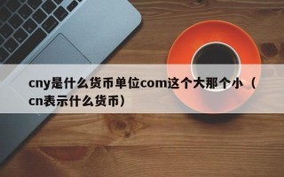 cny是什么货币单位com这个大那个小（cn表示什么货币）