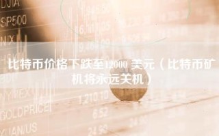 比特币价格下跌至12000 美元（比特币矿机将永远关机）