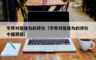 学界对张维为的评价（学界对张维为的评价 中国震撼）