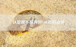 认定就不放弃对VOL币的点评