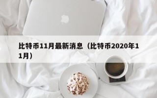 比特币11月最新消息（比特币2020年11月）