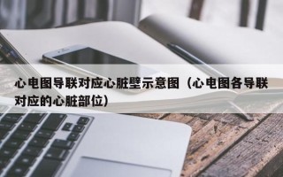 心电图导联对应心脏壁示意图（心电图各导联对应的心脏部位）