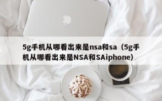 5g手机从哪看出来是nsa和sa（5g手机从哪看出来是NSA和SAiphone）