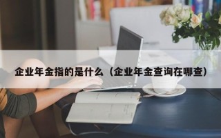 企业年金指的是什么（企业年金查询在哪查）