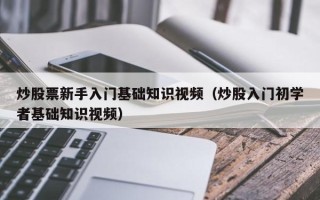 炒股票新手入门基础知识视频（炒股入门初学者基础知识视频）