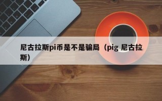 尼古拉斯pi币是不是骗局（pig 尼古拉斯）