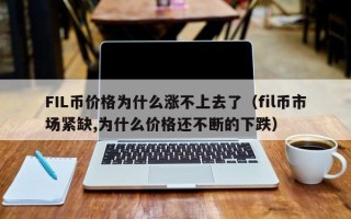 FIL币价格为什么涨不上去了（fil币市场紧缺,为什么价格还不断的下跌）