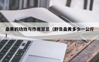 桑黄的功效与作用禁忌（野生桑黄多少一公斤）