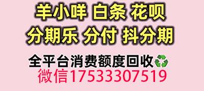 苹果专享额度券怎么套出来的（推荐5种亲测秒到账的方法）-第2张图片-科灵网