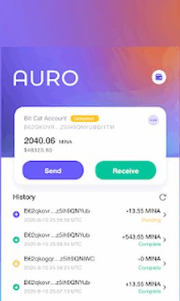 Auro Wallet手机版下载_Auro Wallet官网版下载v5.5.8-第3张图片-科灵网