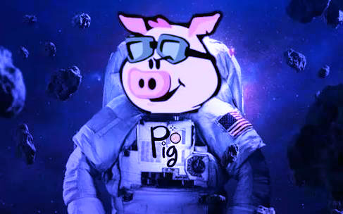 pig币app最新版安装-pig币app官方2022最新版v6.046官方版 pig币交易所app安卓版最新-第1张图片-科灵网