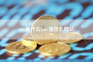 sms是什么(sms是什么网站)-第1张图片-科灵网