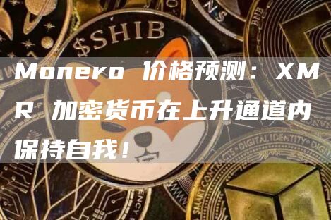 Monero 价格预测：XMR 加密货币在上升通道内保持自我！-第1张图片-科灵网