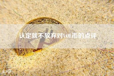 认定就不放弃对VOL币的点评-第1张图片-科灵网