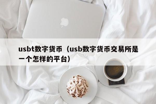 usbt数字货币（usb数字货币交易所是一个怎样的平台）-第1张图片-科灵网