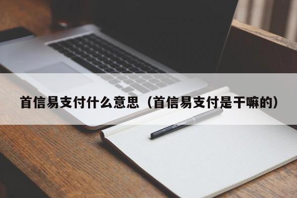 首信易支付什么意思（首信易支付是干嘛的）-第1张图片-科灵网