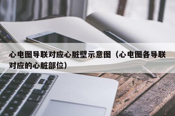 心电图导联对应心脏壁示意图（心电图各导联对应的心脏部位）-第1张图片-科灵网