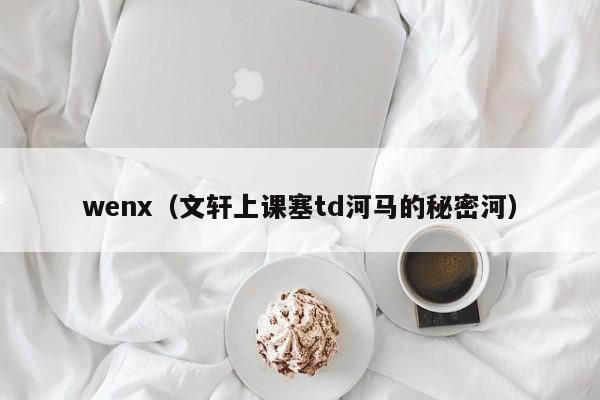 wenx（文轩上课塞td河马的秘密河）-第1张图片-科灵网