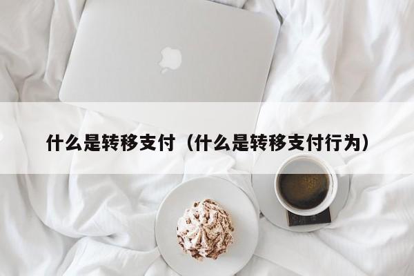 什么是转移支付（什么是转移支付行为）-第1张图片-科灵网