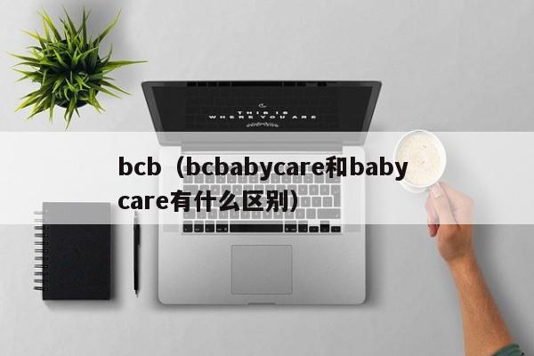 bcb（bcbabycare和baby care有什么区别）-第1张图片-科灵网