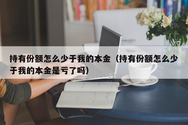 持有份额怎么少于我的本金（持有份额怎么少于我的本金是亏了吗）-第1张图片-科灵网