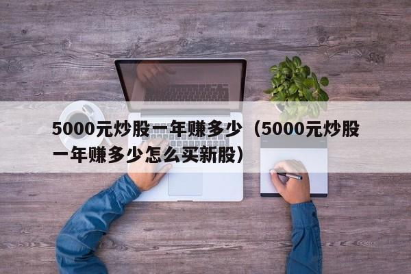 5000元炒股一年赚多少（5000元炒股一年赚多少怎么买新股）-第1张图片-科灵网