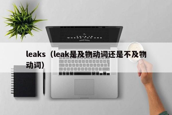 leaks（leak是及物动词还是不及物动词）-第1张图片-科灵网