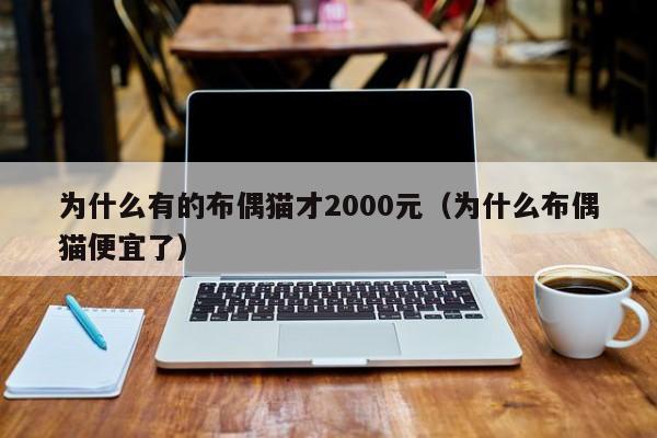 为什么有的布偶猫才2000元（为什么布偶猫便宜了）-第1张图片-科灵网