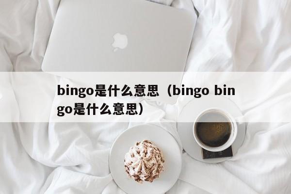 bingo是什么意思（bingo bingo是什么意思）-第1张图片-科灵网