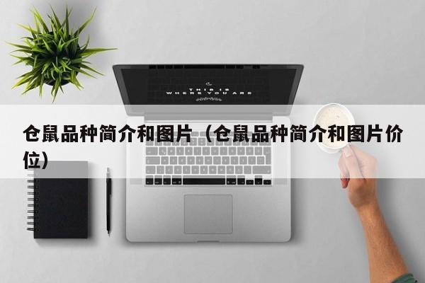 仓鼠品种简介和图片（仓鼠品种简介和图片价位）-第1张图片-科灵网