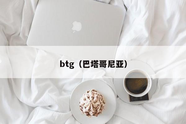 btg（巴塔哥尼亚）-第1张图片-科灵网