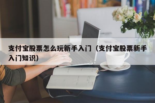 支付宝股票怎么玩新手入门（支付宝股票新手入门知识）-第1张图片-科灵网