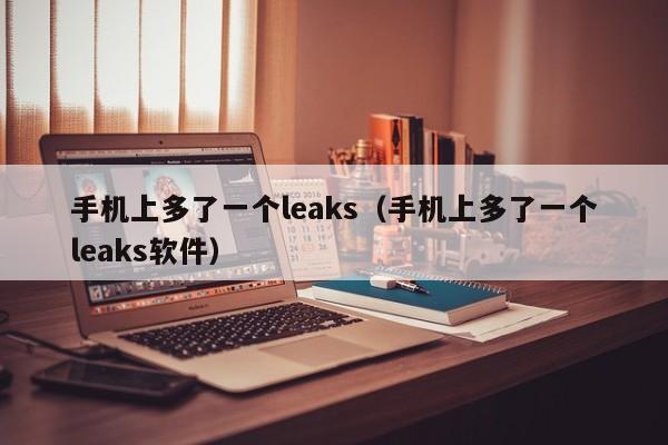 手机上多了一个leaks（手机上多了一个leaks软件）-第1张图片-科灵网