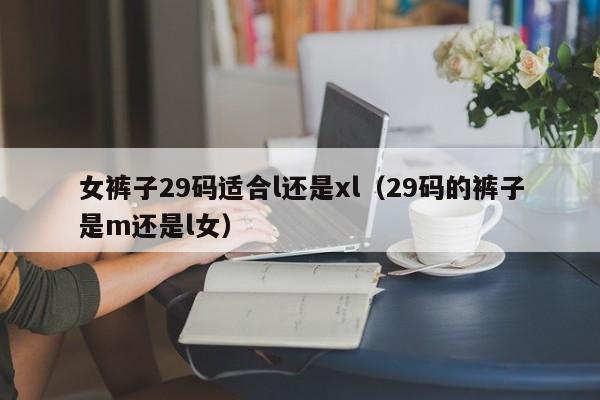 女裤子29码适合l还是xl（29码的裤子是m还是l女）-第1张图片-科灵网