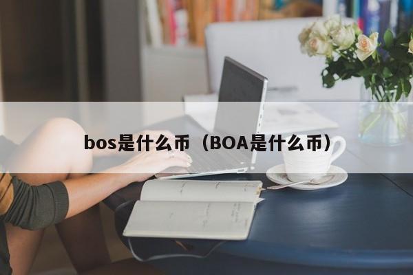 bos是什么币（BOA是什么币）-第1张图片-科灵网