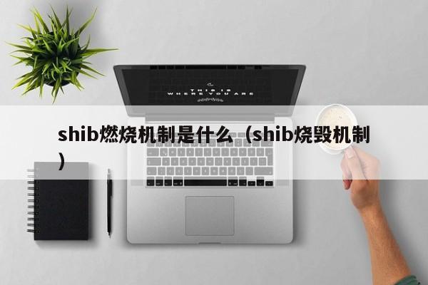 shib燃烧机制是什么（shib烧毁机制）-第1张图片-科灵网