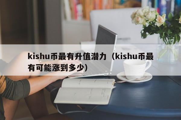 kishu币最有升值潜力（kishu币最有可能涨到多少）-第1张图片-科灵网