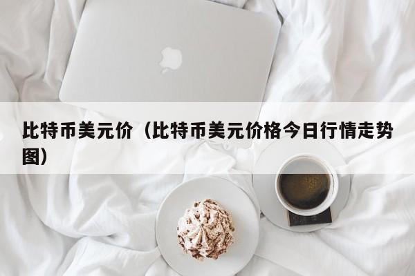 比特币美元价（比特币美元价格今日行情走势图）-第1张图片-科灵网