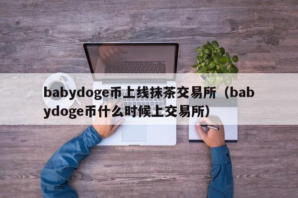 babydoge币上线抹茶交易所（babydoge币什么时候上交易所）-第1张图片-科灵网