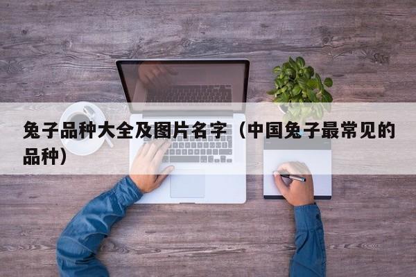 兔子品种大全及图片名字（中国兔子最常见的品种）-第1张图片-科灵网