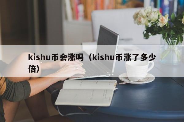 kishu币会涨吗（kishu币涨了多少倍）-第1张图片-科灵网