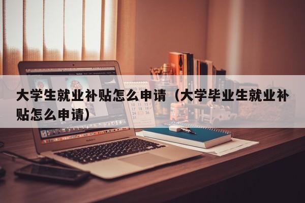 大学生就业补贴怎么申请（大学毕业生就业补贴怎么申请）-第1张图片-科灵网