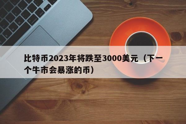 比特币2023年将跌至3000美元（下一个牛市会暴涨的币）-第1张图片-科灵网