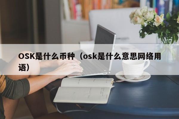 OSK是什么币种（osk是什么意思网络用语）-第1张图片-科灵网