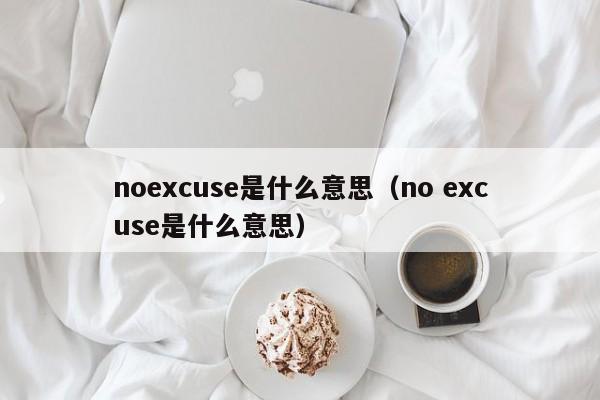 noexcuse是什么意思（no excuse是什么意思）-第1张图片-科灵网